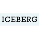 ICEBERG